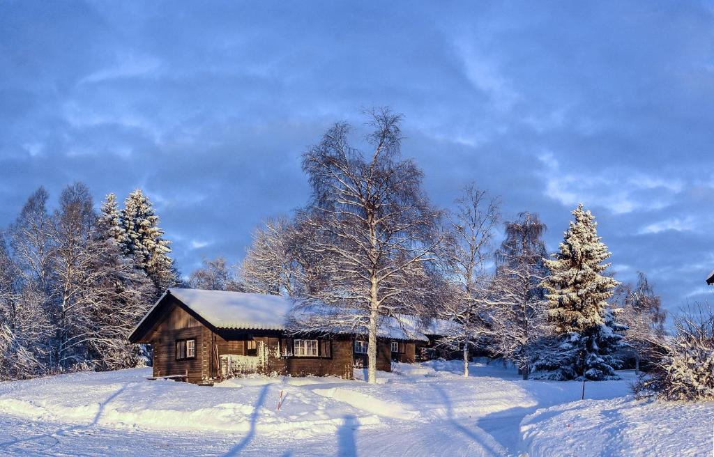 Stf & Persåsen